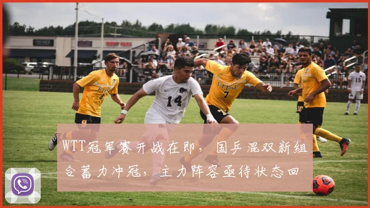 WTT冠军赛开战在即，国乒混双新组合蓄力冲冠，主力阵容亟待状态回暖