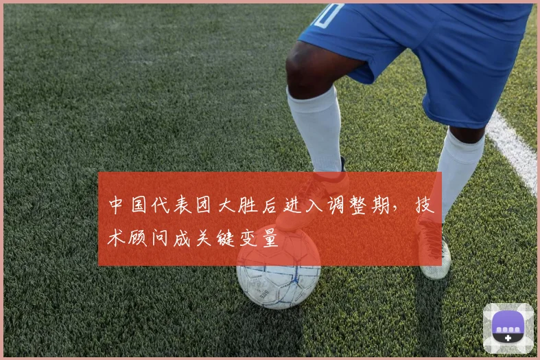 中国代表团大胜后进入调整期，技术顾问成关键变量